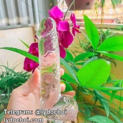 Dương vật giả trong suốt Silicone