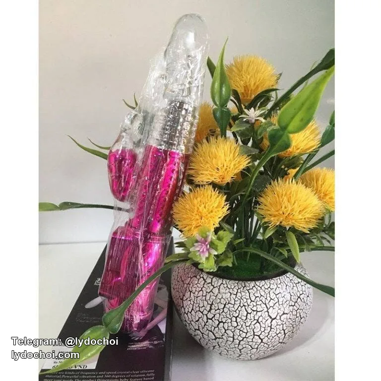Dương Vật Giả Rung Ngoáy New